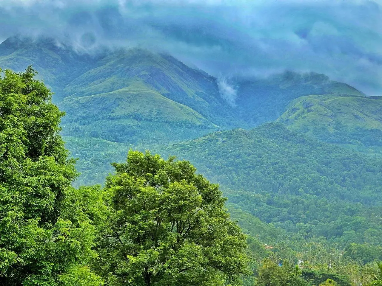 Chembra View Wayanad By Hoyestay Hindistan